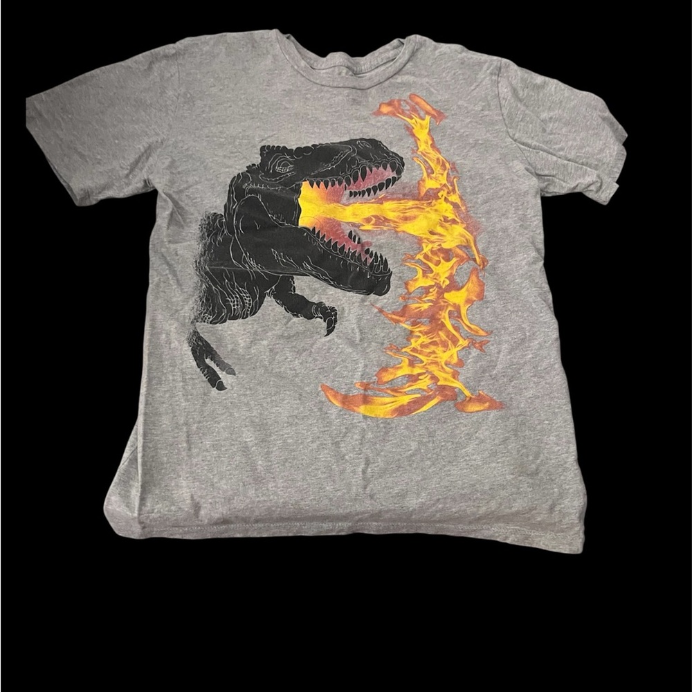Youth fire breathing Dino graphic T-shirt